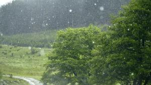 поляна дъжд времето