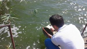 шабла дуранкулак