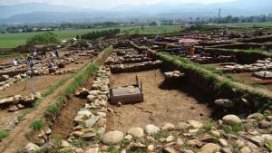 Скаптопара