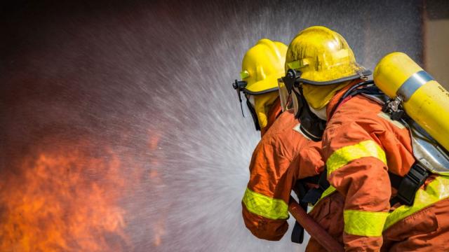 Финландец запали къщата си, опитвайки да се отърве от змия