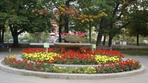 Йога в Градинката с мечето