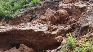 порой Монтана