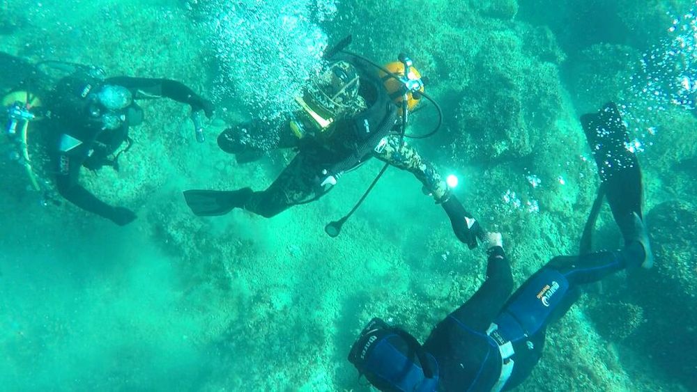 Магическото безвремие на подводния свят