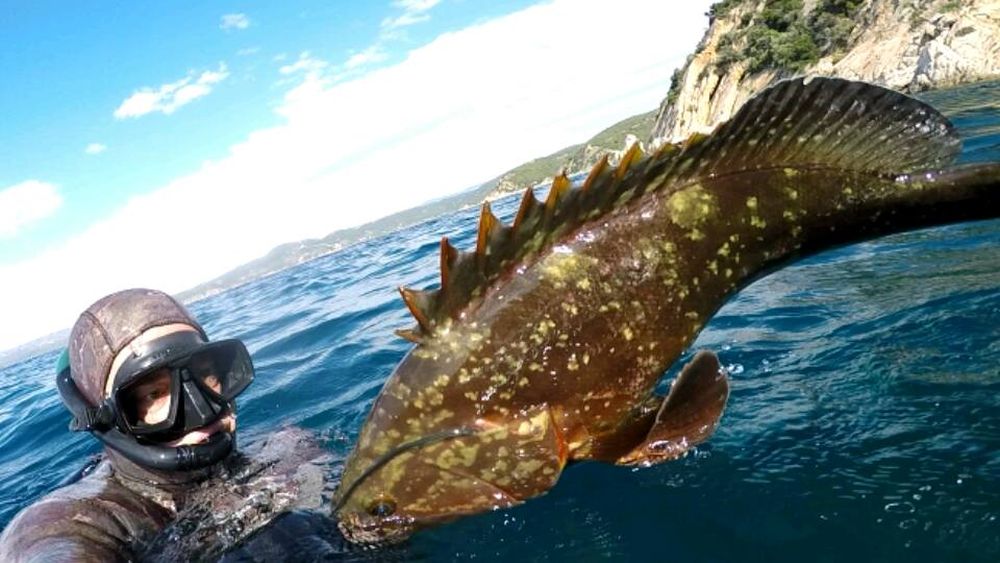 Магическото безвремие на подводния свят