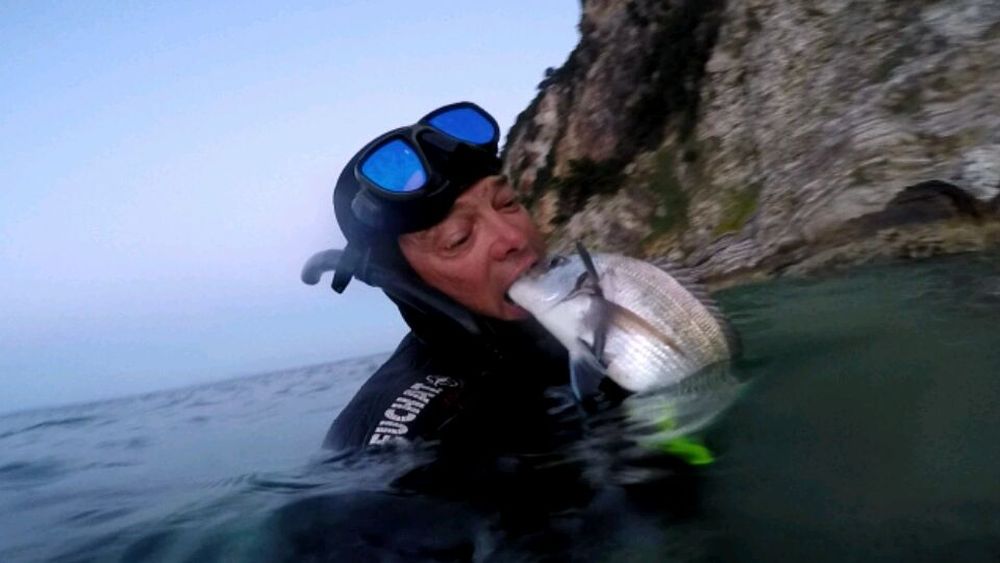 Магическото безвремие на подводния свят