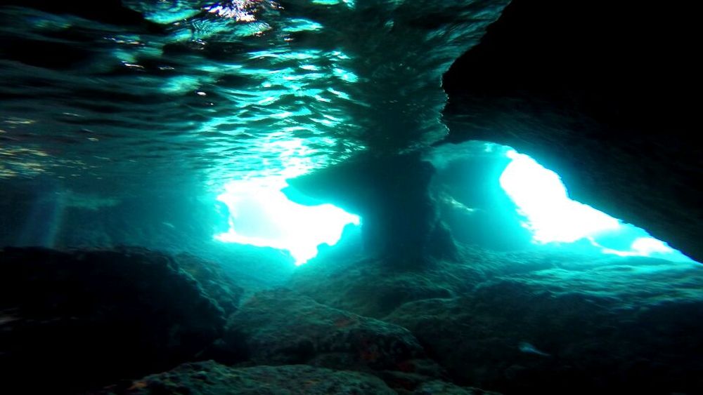 Магическото безвремие на подводния свят