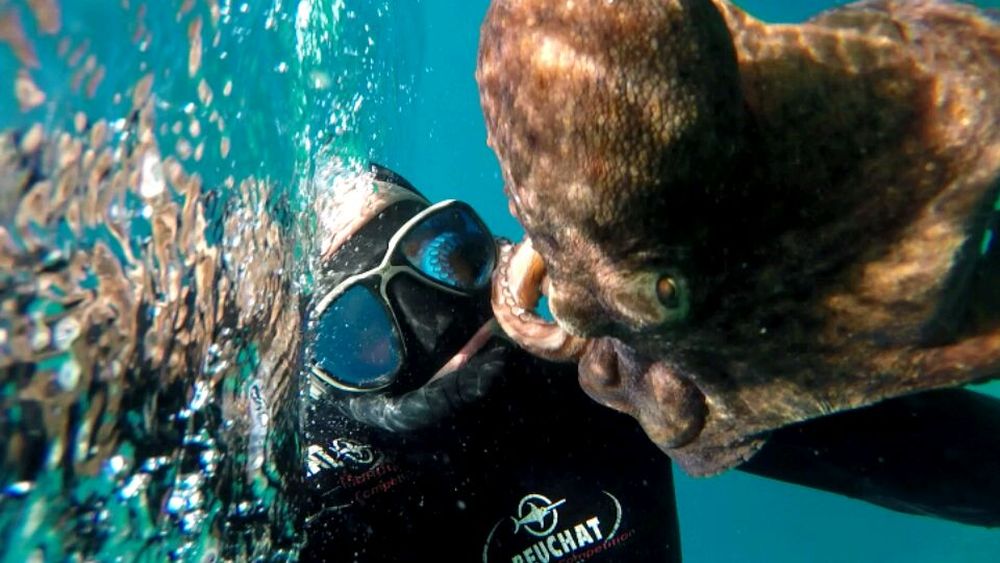 Магическото безвремие на подводния свят