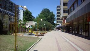 Пешеходната зона