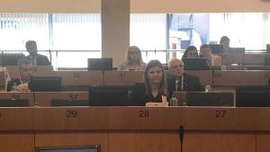 Мария Попова Враца