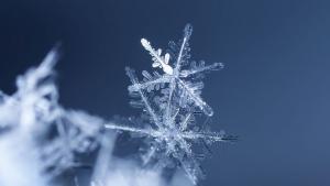 студ сняг зима