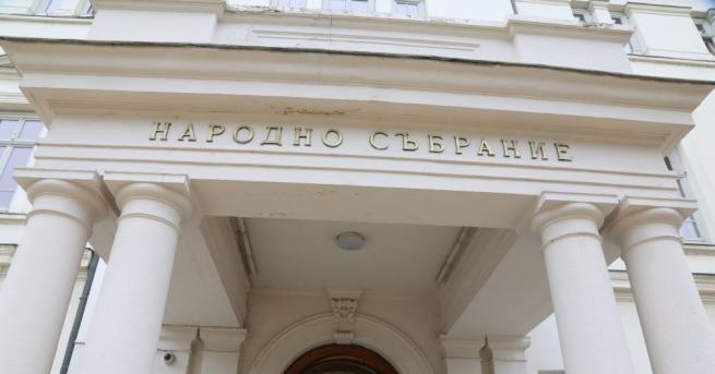 Воля взе решение да припознае като свой законопроекта за личната