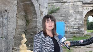 областен управител Видин