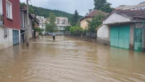 наводнение Роман