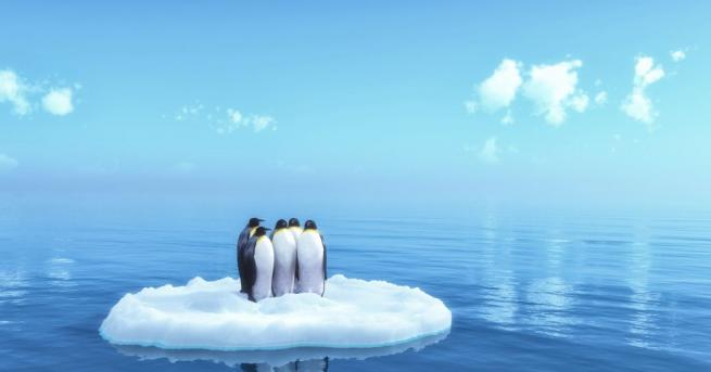 Учени регистрираха в Антарктида най-ниската температура, измерена някога на повърхността