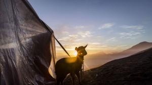 вулкан Бромо остров Ява ритуал