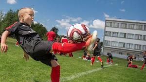 Милан Несебър