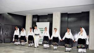 Събор Видин