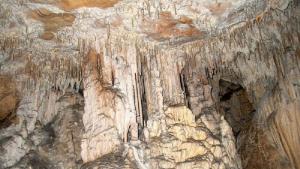 Добростански бисер