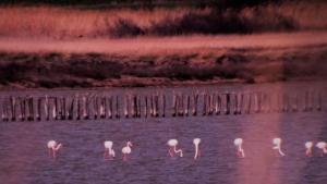 езеро камера