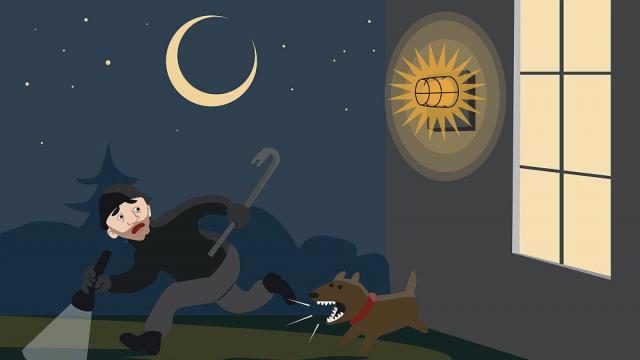 Кучетата надушват лошите хора