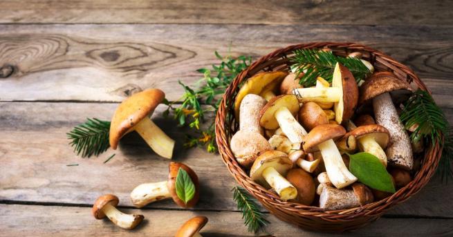 Около 150 грама гъби могат да се консумират всеки ден