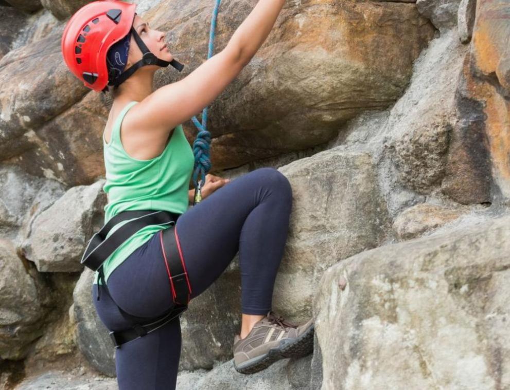 Sport источник