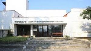 музей Сребърна