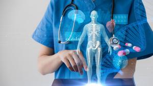 човешко тяло