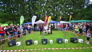 златотърсачи Леденика