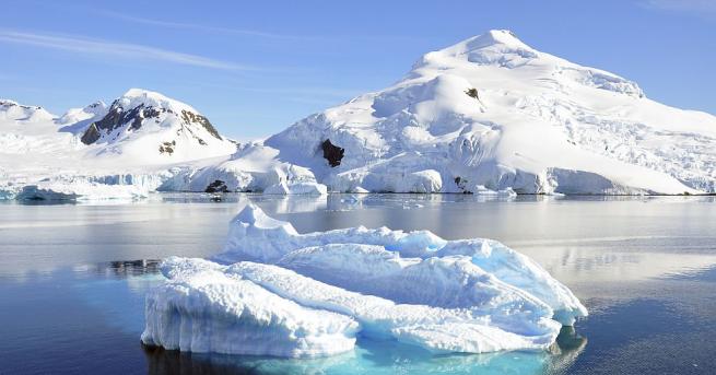 Кафяви водорасли са преминали 20 000 км от най южните части