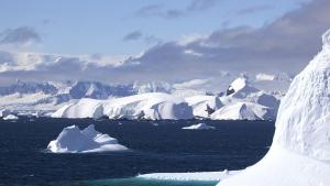 Българският полярен кораб от Антарктида пое обратния път към България