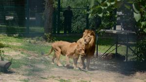 Рая и Хектор