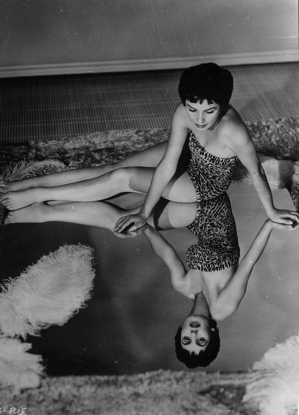 1954