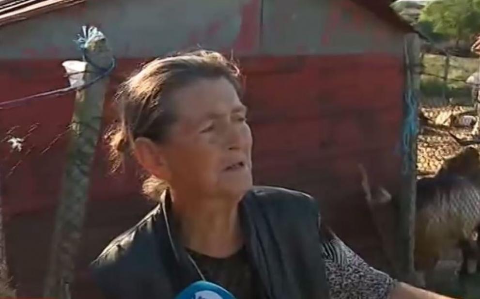  Дни наред, с цел да не бъде унищожено стадото, домът на баба Дора в ямболското село Шарково е под защита от доброволци. 