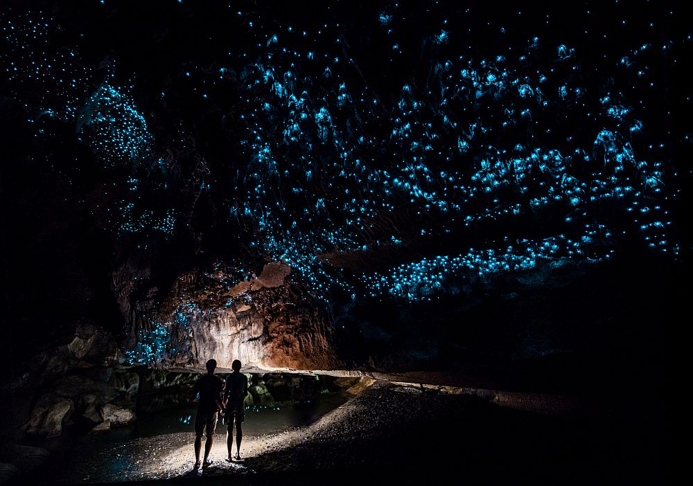 <u><strong>Уайтомо – пещерата с „нощното небе”, Нова Зеландия </strong></u><br>
<br>
Уайтомо в Нова Зеландия е варовикова пещера, приличаща на истински подземен небосвод. Причината да свети така са живите организми в нея. И по-точно - така наречените светещи червеи. Те правят Уайтомо едно от най-извънземните места в света.