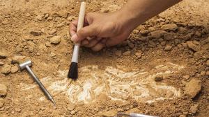 Нова ценна находка откриха археолозите проучващи средновековният български град Русокастро