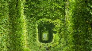 Тунел на любовта Украйна