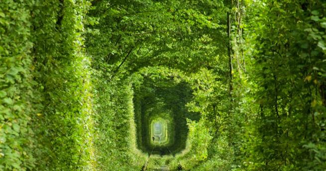 В Тунела на любовта няма мрак Тайнственият зелен проход от