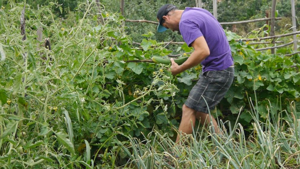  Семейството сменило високите обороти на столицата със спокойни живот в Странджа 