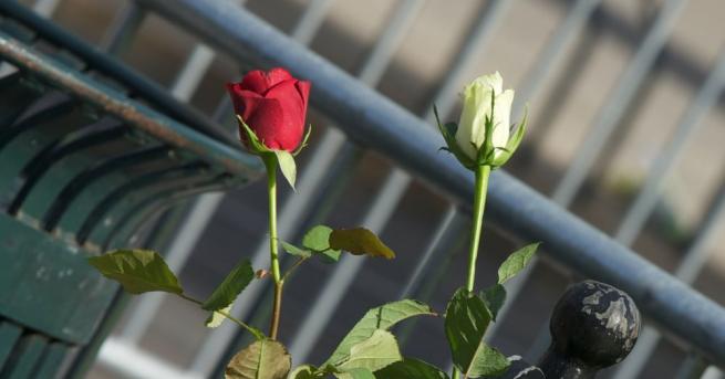 В Осло бе открит паметник на жертвите избити в двата
