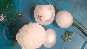 градушка Мездра