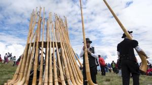 алпийски рог