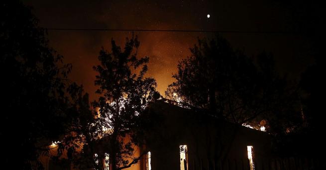Над 20 души са загинали в горските пожарите бушуващи около