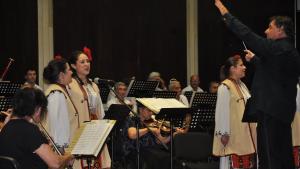 Дунавски вълни Видин