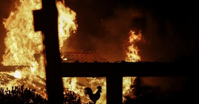 Оцелял от пожарите в Гърция разказа за драматичното си бягство
