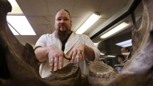 кости фосил