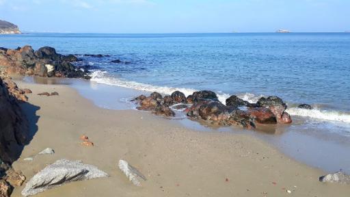  <p>Пожар избухна до "летните сараи на Ахмед Доган"</p> 