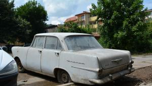 коли Монтана