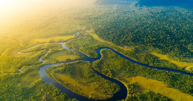 В дълбоките дъждовни гори на Амазония е съществувала древна цивилизация