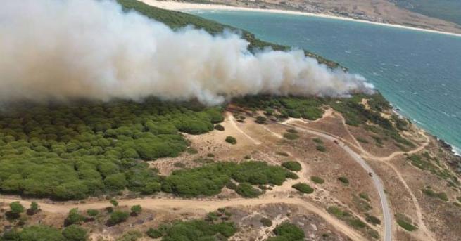 Над 100 пожарникари седем самолета цистерни и военни от местна